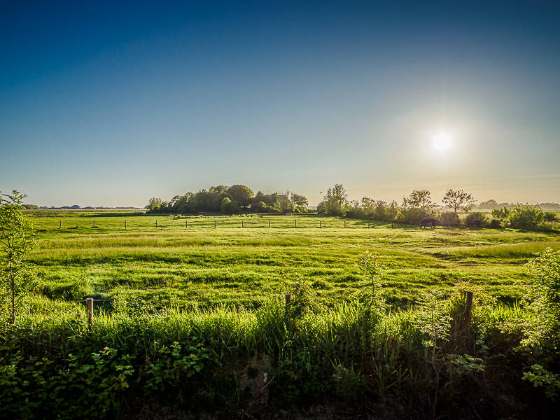 Ausblick in die Insel von dem Ferienhaus auf Pellworm